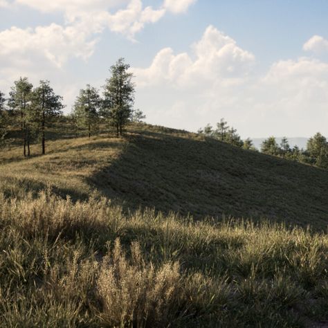 The Grasslands (UE5), Gabe Tandy on ArtStation at https://www.artstation.com/artwork/aGbYE0 Grasslands Aesthetic, Fantasy Grasslands, Ue5 Environment, College Houses, Forest Games, Fantasy Story, Unreal Engine, Environment Design, Fantasy Rpg