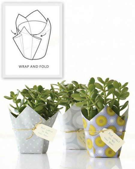 Lucky Plant Gift: Wish someone an auspicious new year with a jade plant, Crassula ovata. This easy-care succulent is said to bring prosperity.     To wrap the pot, place it on a square sheet of decorative paper. Bring up two opposite corners, and secure to the pot with double-sided tape.     Fold the other two flaps as shown; tape. Tie gold cord around the pot, and add a tag with a message. Diy Projektit, Potted Flowers, Diy Wrap, Origami Flowers, Plant Gifts, Diy Projects To Try, Easy Gifts, Homemade Gifts, Hostess Gifts