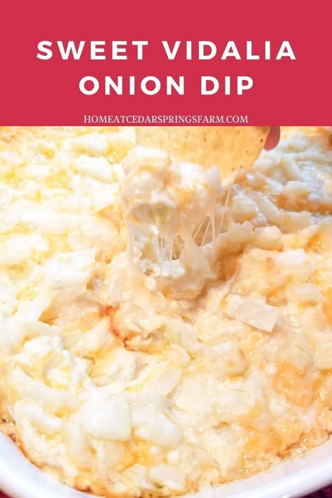 Vidalia Onion Swiss Cheese Dip, Cheesy Onion Dip, Sweet Onion Dip Recipe, Sweet Vidalia Onion Dip, Sweet Onion Dip, Visalia Onion Dip, Warm Onion Dip Recipe, Crockpot Onion Dip, Warm Onion Dip