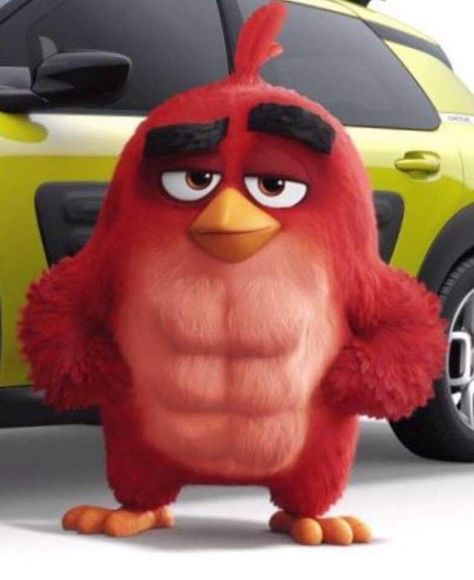 Red From Angry Birds, Red Angry Bird Wallpaper, Hear Me Out Cartoon, Angry Birda, Angry Birds Funny, Angry Birds Movie Red, Chuck Angry Birds, Bird Meme, Red Angry Bird