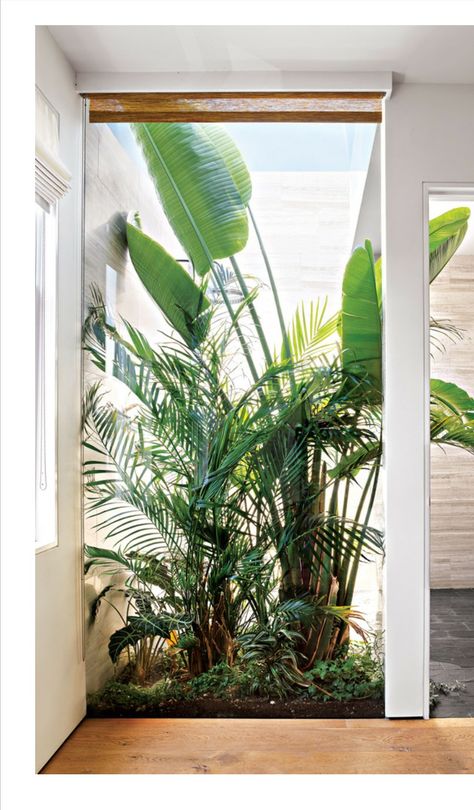 Inside Garden Ideas Interiors, Small Atrium Ideas, Tropical Atrium, Beautiful Front Yard Landscaping, Atrium Garden, Atrium House, Indoor Courtyard, New York City Buildings, Tropical Garden Design