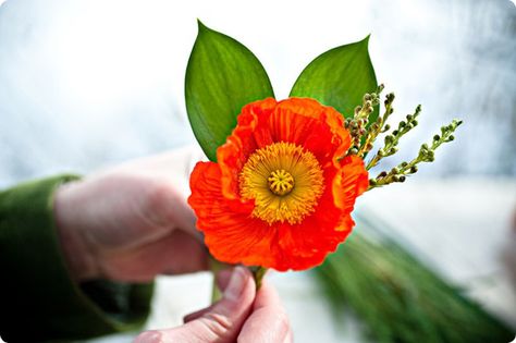 DIY Boutonnieres: Poppin’ Poppies! Poppy Boutonniere, Diy Boutonniere, Diy Your Wedding, Diy Wedding Flowers, Boutonniere Wedding, Flowers Diy, Orange Flowers, Wedding Tips, Diy Flowers