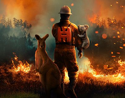 Australian Bushfires, Bush Fire, Vampire Drawings, Firefighter Pictures, Fire Image, Australian Bush, Wild Fire, Color Personality, Save Earth