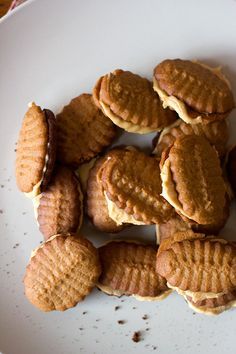 Coffee Cookies - traditional cookies with a coffee flavour www.aninas-recipes.com Koffie Koekies Resep, African Cookies Recipes, Coffee Cookies Recipe, Flavored Cookies, Traditional Cookies, Coffee Biscuits, International Coffee, Biscuit Recipes, Coffee Cookies