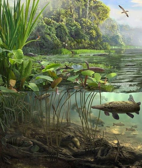 Natural Science Illustration, Prehistoric Plants, Taman Air, Prehistoric Wildlife, Dinosaur Drawing, Prehistoric World, Carpe Koi, Ark Survival Evolved, Prehistoric Art