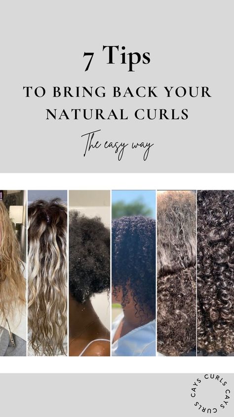 Defined Curls Natural Hair, Grow Curly Hair, Styling Braids, Natural Curly Hair Care, Damaged Curly Hair, Curl Routine, Eva Hair, Natural Curly Hair, Hair Mistakes