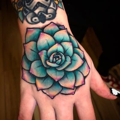 Succulent Hand Tattoo, Succulent Tattoos For Women, Traditional Succulent Tattoo, Small Succulent Tattoo, Succulent Tattoos, Succulent Tattoo, Clever Tattoos, Wicked Tattoos, Stomach Tattoos