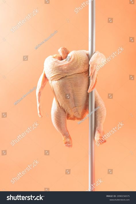 Raw Chicken Performs Pole Dance Orange Stock Photo 2090156575 | Shutterstock Shutterstock Images Stock Photos, Chicken Dancing, Dancing Chicken, Chevrolet Camaro Black, Camaro Black, Fictional Men, Raw Chicken, Funny Chicken, Chicken Scratch