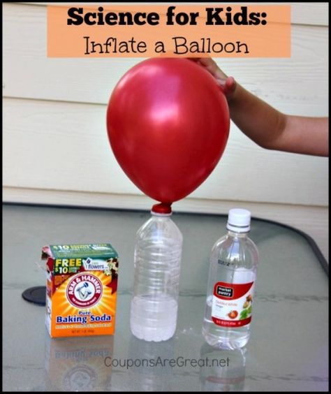 Inflate a balloon with a few simple household items and kids will be amazed with this simple science experiment for kids. Vetenskapliga Experiment, Pulau Tioman, Science Week, Summer Science, Science Party, Kid Experiments, Chemical Reaction, Easy Science Experiments, Science Projects For Kids