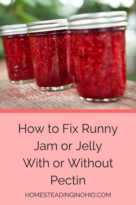 Learn how to fix runny jelly or how to fix runny jam. Fixing runny jelly is easy to do. If your jam is too runny, you can reprocess it to fix runny jam. Learn how to fix runny jam without pectin or by recooking it with pectin and lemon juice. Learn how to thicken runny jam to save your jam or jelly recipe. Jelly too runny? You can save it by reprocessing it or using chia seeds. Fixing runny jam can be done by the batch or by the jar. Also learn why is my jam runny. How To Fix Jam That Didn't Set, How To Fix Runny Jam, Fixing Runny Jelly, What To Do If Jelly Doesn't Set, How To Fix Jelly That Didnt Set Up, How To Thicken Jam That Didnt Set, How To Fix Runny Jelly, How To Fix Jelly That Didn’t Set, Frog Jam Recipe