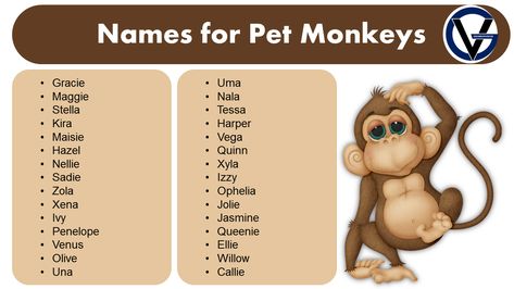 Pet monkeys have become a popular choice for many people seeking unique and exotic pets. These intelligent and social animals are known for their playful and mischievous personalities, making them great companions. However, before bringing home a pet monkey, it is essential to choose a suitable name that suits its personality and characteristics. The right … Good Names for Pet Monkeys | Naming Idea Read More » Pet Names For Boys, Pet Names For Girls, Monkey Names, Donkey Kong Junior, Good Names, Dogs Instagram, Baby Boy Name, Instagram Username, Spider Monkey