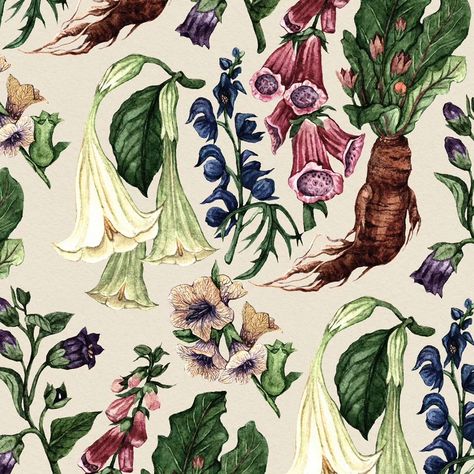 My Poison Garden illustration gets it's own pattern🖤 Poisonous plants fascinate me because of their long history of use as medicine. There are also really cool illustrations of human Mandrakes from a 15th century book you can find online. . #plantillustration #patterndesigner #patterndesign #poisongarden #poisonousplants #illustratorsofinstagram #illustrationartists #botanicaillustration #herbology Cool Illustrations, Poison Garden, Illustrated Manuscript, Garden Illustration, Poisonous Plants, Match Box, Idea Board, Long History, Plant Illustration