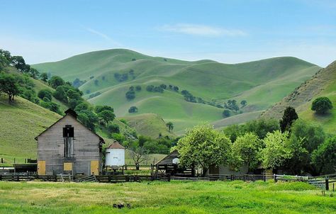 This is the view as you drive up to the trailhead at Black Diamond Regional Preserve. Deane Little / East Bay Parks Photo: Deane Little, East Bay Parks San Francisco Hikes, Antioch California, Camping Images, Contra Costa County, Visit Sydney, Diamond Mines, Camping Area, East Bay, San Francisco Bay Area