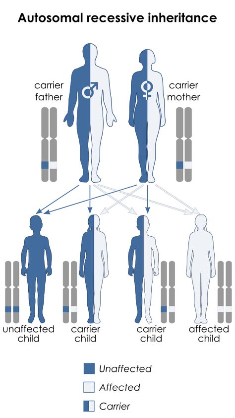 Spinal muscular atrophy has an autosomal recessive pattern of inheritance. Picks Disease, Spinal Muscular Atrophy, Biology Resources, Rare Disorders, Ap Biology, Teaching Biology, Rare Disease, Anatomy And Physiology, Science Classroom