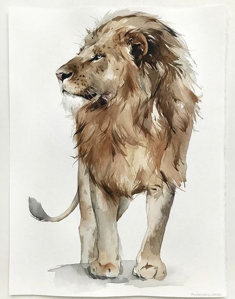 Lion King Decorations, Lion Paintings, Lion Sketch, Lion Drawing, Lion Painting, Big Cats Art, Dog Pets, Watercolour Inspiration, Sun God