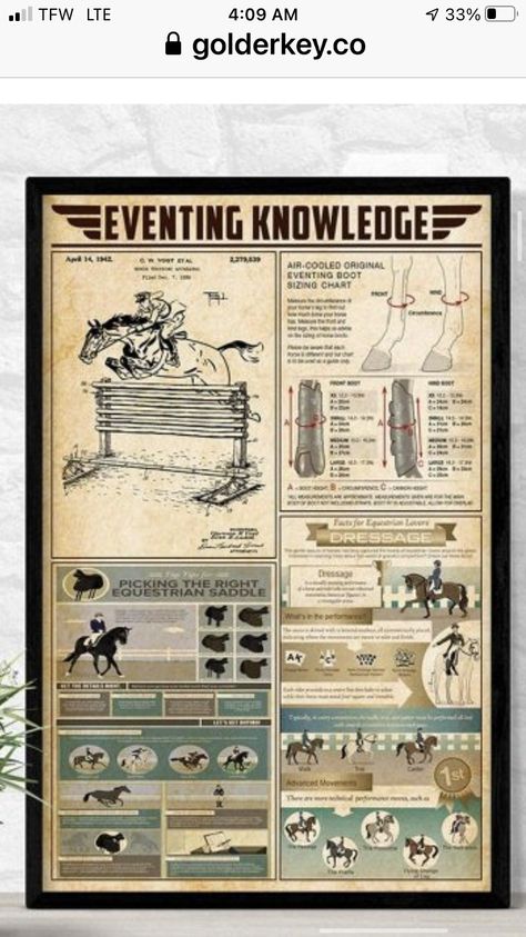 Knowledge Organisers, Infographic Posters, Medical Herbs, Infographic Poster, Gallery Wallpaper, Combat Art, Emergency Prepping, Education Poster, Knowledge Is Power