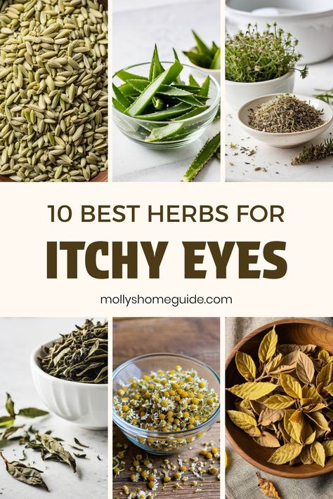 Discover the power of herbal remedies for itchy eyes. Ease discomfort with natural solutions like soothing herbal teas for eye irritation. Combat symptoms of allergic conjunctivitis with nourishing herbs in allergy-fighting tea blends. Find relief for dry, irritated eyes using gentle home remedies and herbs known for their anti-inflammatory properties. Say goodbye to itchy eyes and hello to a more comfortable, refreshed outlook on your day! Itchy Eyes Remedy Allergies, Itchy Eyes Remedy, Remedies For Itchy Eyes, Calendula Tea, Power Bowl Recipe, Irritated Eye, Green Tea Bags, Homesteading Skills, Itchy Eyes