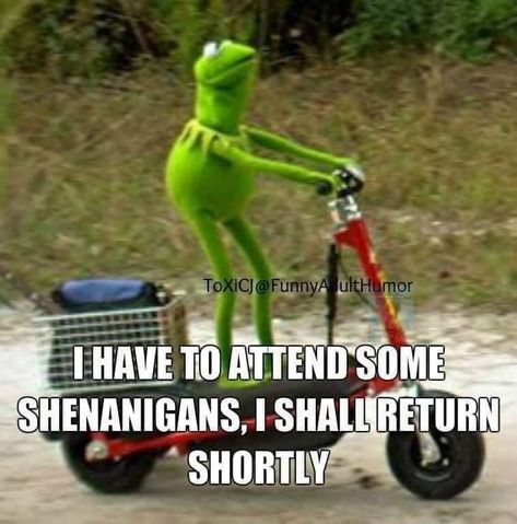 Funny Kermit, Funny Kermit Memes, Kermit Memes, Mindful Yoga, Kermit Funny, Hilarious Quotes, Funny Items, Word Board, Health Challenges