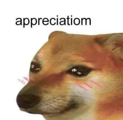 Cheems Doge, Doge Dog, Me Too Meme, Funny Profile Pictures, Reaction Images, Wholesome Memes, Cartoon Jokes, Cute Memes, Funny Reaction Pictures