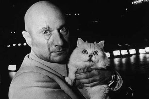 Donald Pleasance as Blofeld - what would a supervillain be without a cat! Celebrities With Cats, Donald Pleasence, Bond Series, Robert Englund, Hugo Weaving, Anita Ekberg, Norman Bates, Christoph Waltz, Ingmar Bergman