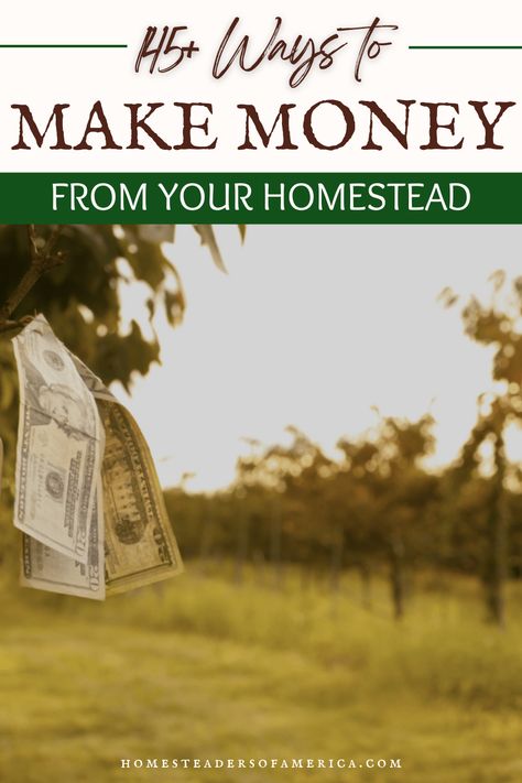 Check out the ULTIMATE homestead income ideas guide! Learn ways to make a profit from your small farm while being a service to your community. Small Farm Layout Ideas, Profitable Small Farm Ideas, Agri Tourism Ideas, Homesteading Business Ideas, Homestead Profit Ideas, Homestead Money Making Ideas, Profitable Homestead, Small Homestead Layout, Small Farm Ideas