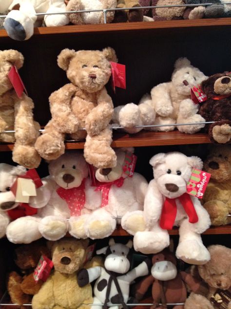 teddy bears | Teddy bears at the Teddy Bear Shop, Melbourne (c) JP Mundy Tady Bear, Jason The Toy Maker, Teddy Images, Huge Teddy Bears, Gift Shop Interiors, Huggable Teddy Bear, Teddy Bear Shop, Teddy Bear Dog, Giant Teddy Bear