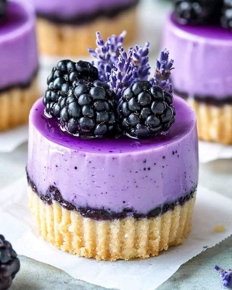 Cheesecake Variations, Lavender Desserts, Blackberry Lavender, Blackberry Cheesecake, Lavender Cake, Berry Recipes, Pretty Cupcakes, Candy Treats, Pamper Party