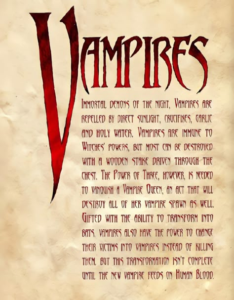 Old Vampire Aesthetic, Spell Book Aesthetic, Vampire Anatomy, Vampirecore Aesthetic, Vampire Folklore, Vampire Sketch, Magical Creatures Mythology, Vampire Poster, Vampire Core