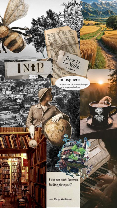 Warm, bookish Intp Female, Intp, Mood Board, Calligraphy, Wonder