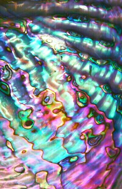 Abalone Shell Wallpaper, Shell Texture, New Moon Rituals, Stone Wallpaper, Witchy Wallpaper, Mermaid Aesthetic, Trippy Wallpaper, Iphone Wallpaper Images, Iphone Wallpaper App