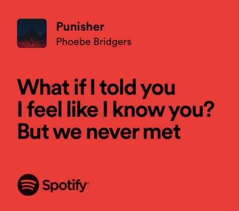 Punisher Lyrics, Coco Core, Punisher Phoebe Bridgers, Pink Lipgloss, My Taste In Music, Taylor Lyrics, Favorite Albums, Chelsea London, Mazzy Star