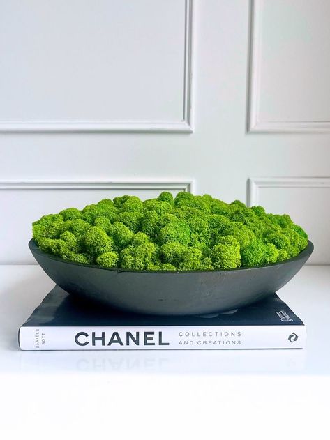 Centrepiece Ideas For Dining Table, Moss Bowl Centerpiece, Moss Bowl, Living Room Draperies, Coffee Table Bowl, Coffee Table Arrangements, Moss Centerpieces, Decorative Trees, Coffee Table Plants