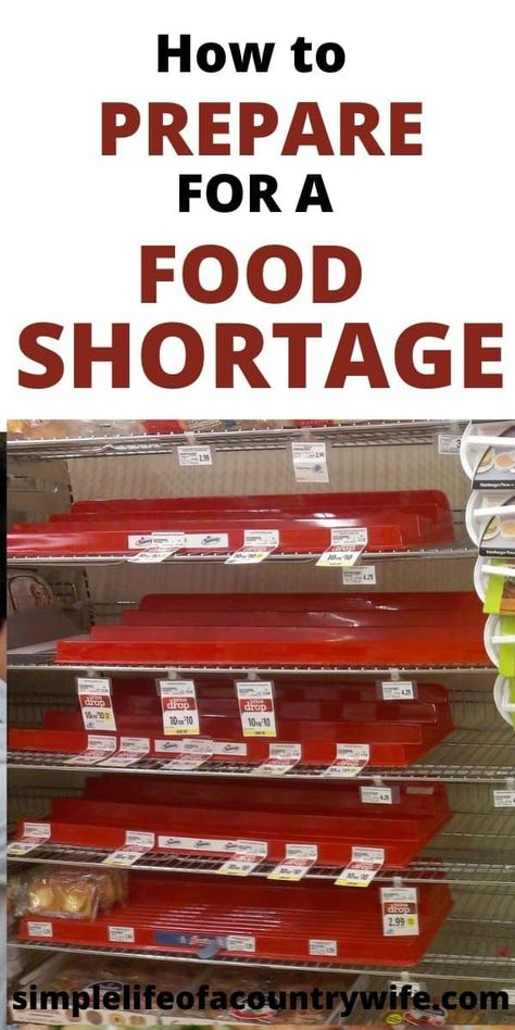 Food Shortage, Pantry List, Provident Living, Save On Foods, Grocery Savings, Homemaking Tips, Life On A Budget, Homesteading Skills, Household Cleaning Tips