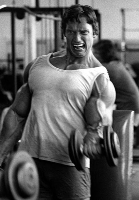 Arnold Schwarzenegger Gym, Arnold Schwarzenegger Muscle, Arnold Schwarzenegger Quotes, Arnold Bodybuilding, Arnold Schwarzenegger Bodybuilding, Schwarzenegger Bodybuilding, Bodybuilding Pictures, Zip Line, Muscle Building Workouts