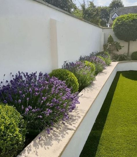 Moderne Have, Minimalist Garden, Back Garden Design, Landscape Products, Modern Landscape Design, Modern Garden Design, Have Inspiration, Outdoor Gardens Design, Backyard Garden Design