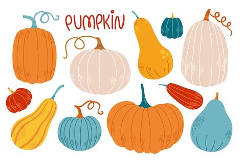 Pumpkin set different colors and sizes f... | Premium Vector #Freepik #vector #food #design #halloween #cartoon Pumpkins Illustration, Pumpkin Graphic Design, Pumpkin Vector, Flat Drawings, Pumpkin Illustration, Halloween Vector, Autumn Illustration, Pumpkin Colors, Harvest Festival