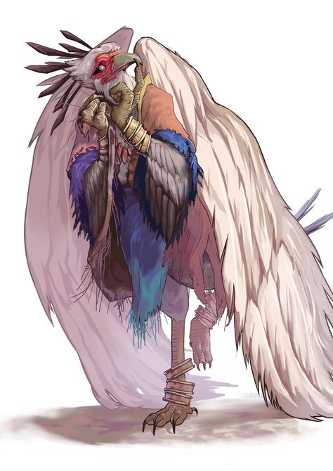 Dnd Aarakocra, Aarakocra Monk, Fantasy Beings, Bird People, Dnd Races, Rpg Ideas, Oc Inspiration, One D, Fantasy Races