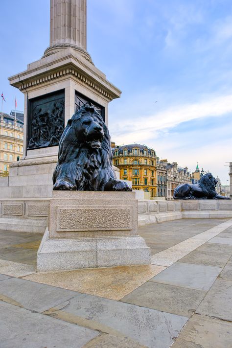 Trafalgar Square Lion Sculpture, London UK. --- #TrafalgarSquare #LionSculpture #Sculpture #London #VisitLondon #CityBreak #Architecture #photography #ilovelondon #itssolondon #londoncity #londonlife #londonlove #travellondon #londonphoto #londonforyou #londoncityworld #photosoflondon #londontown #prettylittlelondon #prettycitylondon #londonphotography #londonarchitecture #beautifuldestinations #toplondonphoto #VisitBritian Rain Tattoo, Aleksandr Solzhenitsyn, Trafalgar Square London, London Architecture, London Aesthetic, Trafalgar Square, London Town, London Photography, Visit London