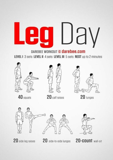 Product Ads, Latihan Dada, Leg Workout At Home, Full Body Workouts, Leg Day Workouts, Endurance Workout, Circuit Workout, At Home Workout Plan, Toning Workouts