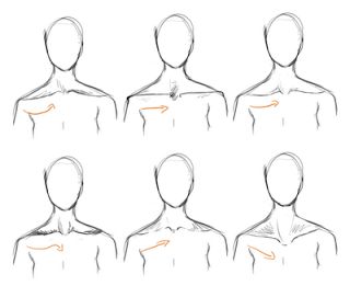 How to draw Neck / Collar Bone Drawing Collarbone, Collarbone Art Reference, Collar Bones Reference Drawing, Shoulders Art Reference, How To Draw Collarbone, Collarbone Drawing Reference, Collar Bone Drawing Reference, Colar Bone Drawing, Collarbone Anatomy