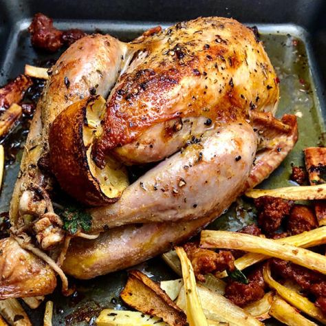 Oven Roasted Pheasant - Wild Game Cuisine - NevadaFoodies Oven Roasted Pheasant Recipes, Roast Pheasant Recipes, Roasted Pheasant Recipes, Whole Pheasant Recipes, Baked Pheasant Recipes, Roasted Pheasant, How To Cook Pheasant, Pheasant Recipe, Roast Pheasant