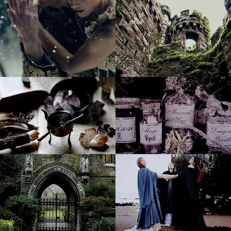 American Wizarding School, Salem Witches, Feminine Rage, Wingardium Leviosa, Fairytale Aesthetic, Slytherin Aesthetic, Salem Witch, Wizarding World Of Harry Potter, Wizarding World