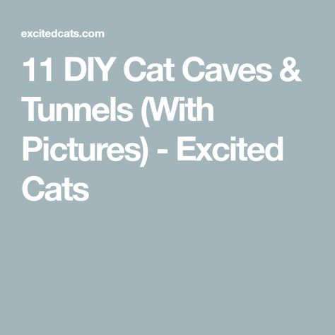 11 DIY Cat Caves & Tunnels (With Pictures) - Excited Cats Diy Cat Tunnel, Cat Tunnel Diy, Diy Tunnel, Excited Cat, Plastic Shower Curtain, Cat Cave, Cat Tunnel, Knitted Cat, Old Sweater