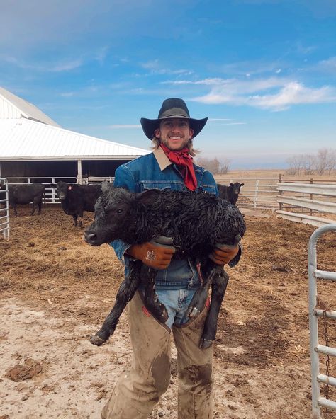 #ranchlife #calving #illinois Johnny Core Aesthetic, Cowpoke Aesthetic, Ranching Aesthetic, Old Country Aesthetic, Calving Season, Art Club Projects, Big Farm, Cowboy Aesthetic, Urban Cowboy