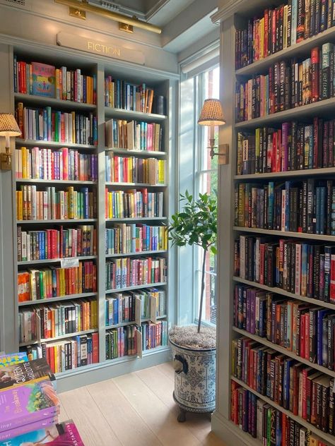 Apartment Library, Dream Home Library, How To Start Painting, All About Books, Painting Walls, Public Libraries, Dream Library, Library Room, Start Painting