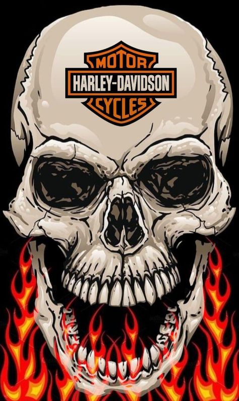 Pin on H-D Harley Davidson Design, Logo Harley Davidson, Harley Davidson Decals, Motorcycle Art Painting, Harley Davidson Decor, Custom Harley Davidson, Harley Tattoos, Harley Davidson Images, Harley Davidson Posters