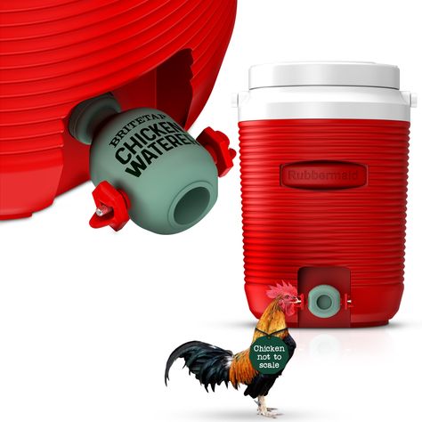 PRICES MAY VARY. CHICKEN WATER DISPENSER ATTACHMENT - Utilize the power of your existing cooler (sold separately) to keep water refreshingly cool for your chickens (even in hot weather) with this innovative chicken drinker attachment. EFFORTLESS INSTALLATION - BriteTap waterer for chickens has a simple design. Simply, replace the spigot on your 2-gallon, 5-gallon, 10-gallon, or larger cooler, transforming it into a clean and convenient water source. CLEAN WATER, HEALTHY FLOCK - This poultry drin Chicken Water Feeder Ideas, Waterer For Chickens, Chicken Water Heater, Duck Waterer, Solar Powered Water Heater, Chicken Watering System, Chicken Water Feeder, Backyard Ducks, Chicken Waterer