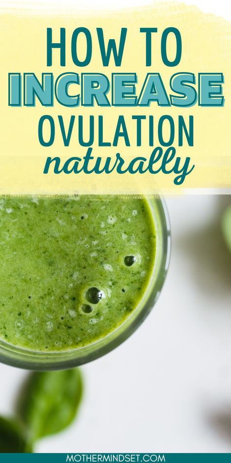 green smoothie, pin for how to increase ovulation naturally Best Foods For Conception, Cervical Mucus Trying To Conceive, Foods That Increase Fertility, Basal Body Temperature Fertility, How To Increase Cervical Mucus, Fertility Trying To Conceive Food, Ovulation Foods, Proliferative Phase, Fertility Boosting Foods