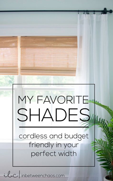 My Favorite Shades Pull Down Window Shades, Dining Room Blinds Ideas, Best Shades For Windows, Simple Window Coverings, Alternatives To Blinds, Beachy Window Treatments Coastal Style, Natural Blinds Living Room, Blind Ideas For Windows, Large Window Blinds