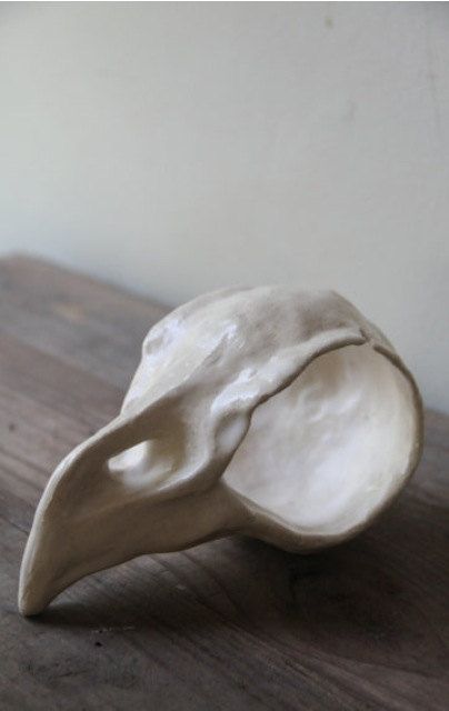 tiny bird skull. Sculpture Art Clay, Sculptures Céramiques, Clay Diy Projects, Tanah Liat, Keramik Design, Tiny Bird, Bird Skull, Pottery Crafts, Ceramics Pottery Art